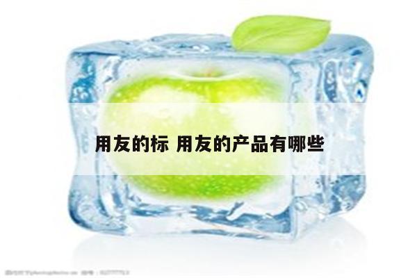 用友的标 用友的产品有哪些