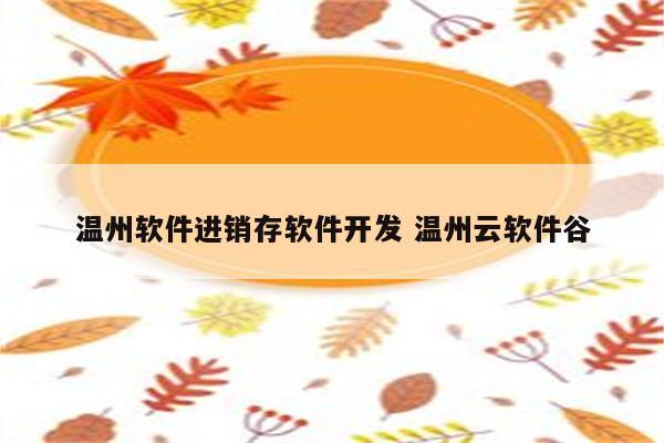 温州软件进销存软件开发 温州云软件谷