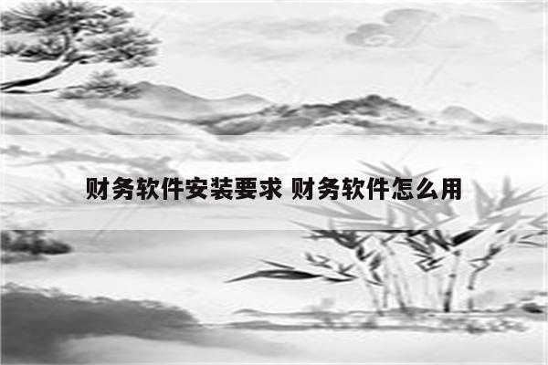 财务软件安装要求 财务软件怎么用