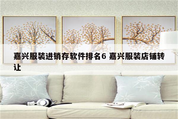 嘉兴服装进销存软件排名6 嘉兴服装店铺转让