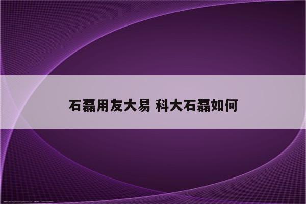 石磊用友大易 科大石磊如何