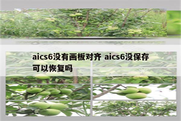 aics6没有画板对齐 aics6没保存可以恢复吗