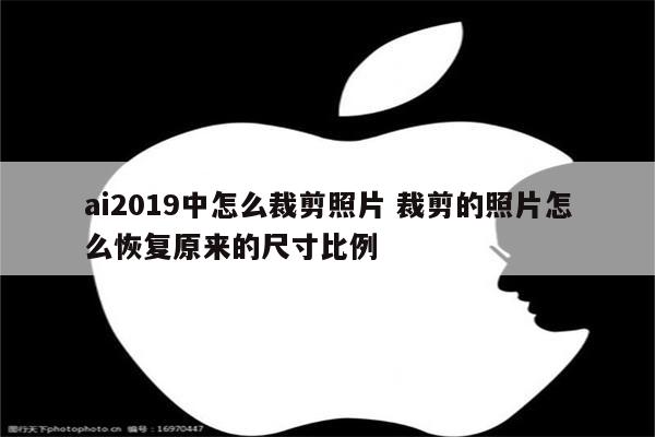 ai2019中怎么裁剪照片 裁剪的照片怎么恢复原来的尺寸比例