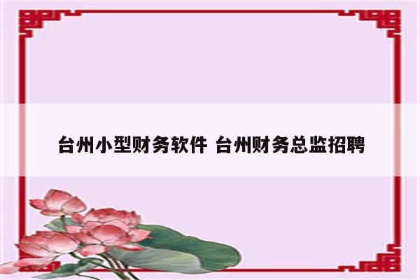 台州小型财务软件 台州财务总监招聘