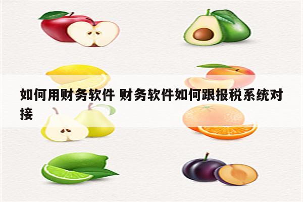 如何用财务软件 财务软件如何跟报税系统对接