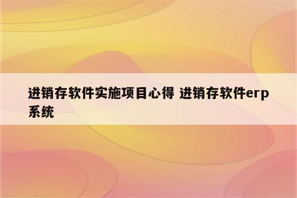进销存软件实施项目心得 进销存软件erp系统