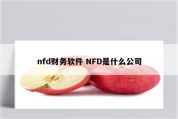 nfd财务软件 NFD是什么公司