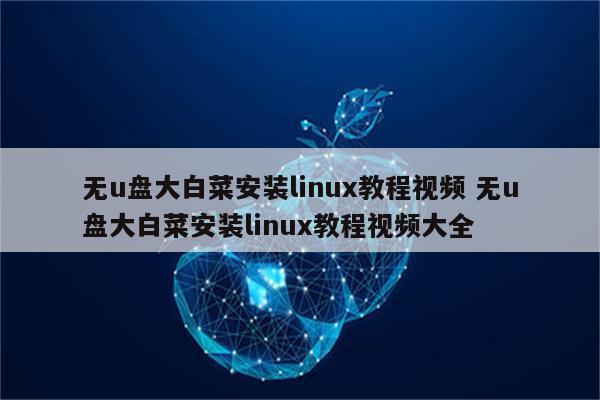 无u盘大白菜安装linux教程视频 无u盘大白菜安装linux教程视频大全
