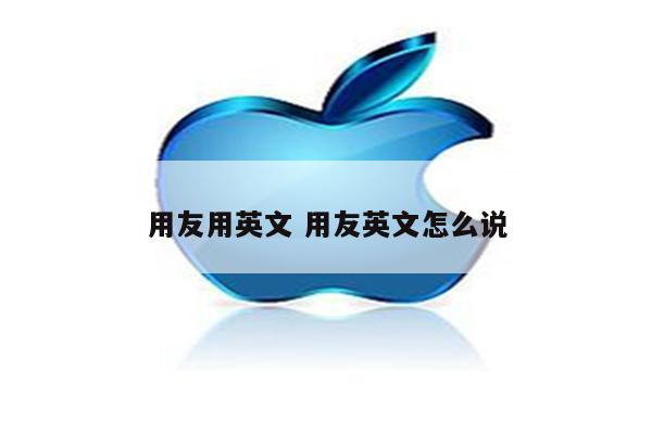 用友用英文 用友英文怎么说